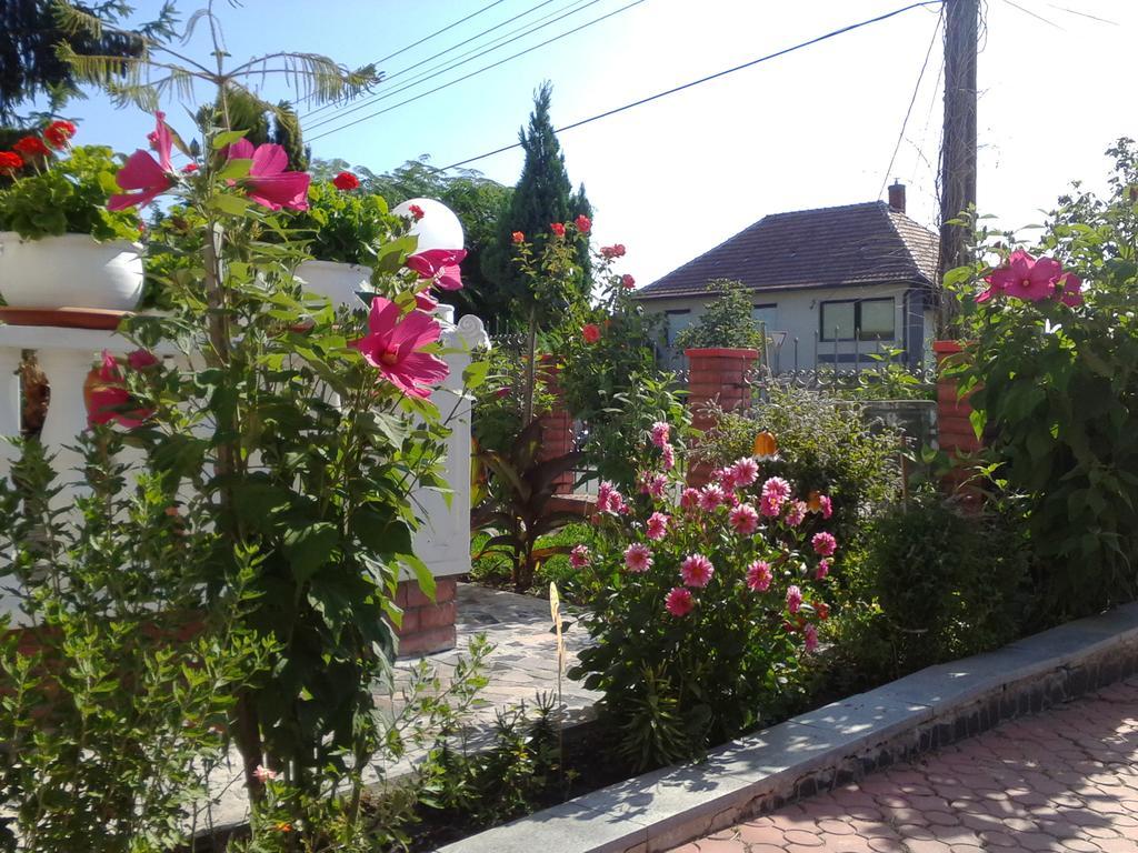 Kristaly Apartman Heviz Exterior photo